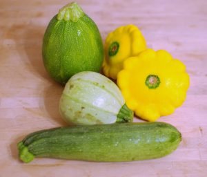 Summer squashes | NY Food Journal