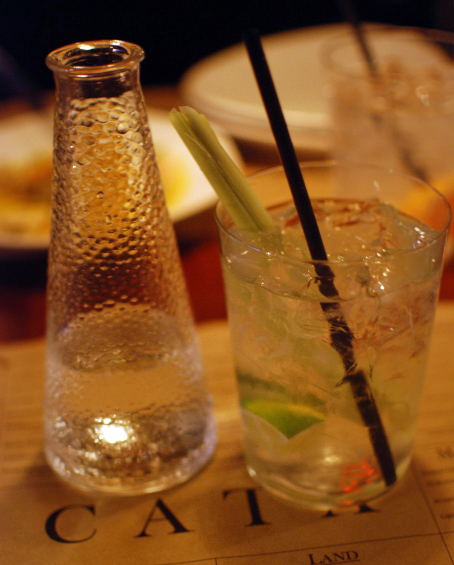 Cata - lemongrass gin and tonic
